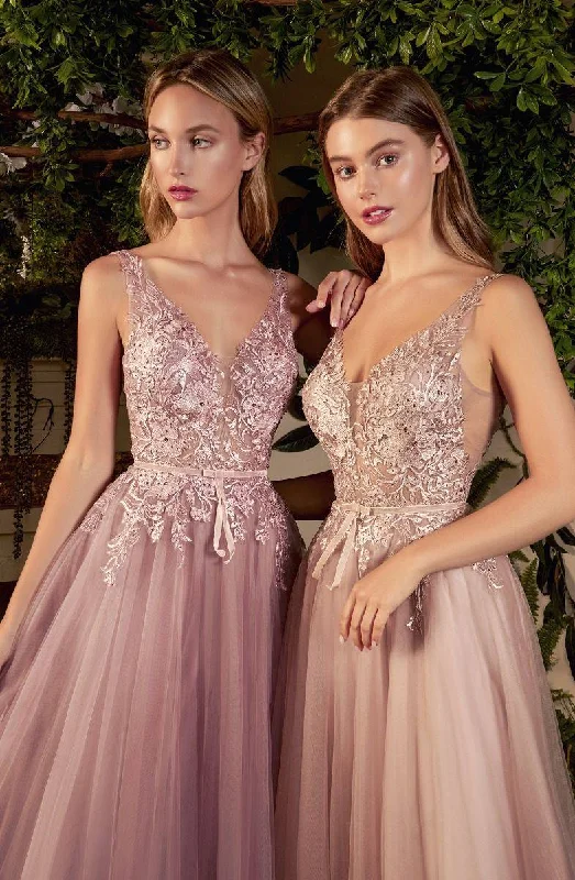 Sade Lace Tulle Vintage Floral V-neck Bodice Pointy Open Back Long Prom Dress CDA1045