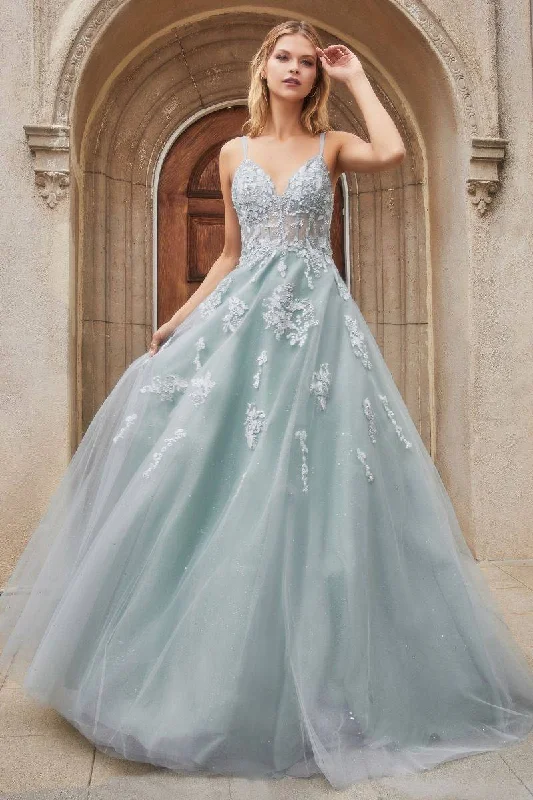 Floral Embroidered V-neck Open Back Bodice Vintage Sensual Long Ball & Prom Dress CDA0892